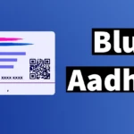 Blue Aadhaar